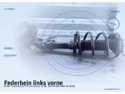 Federbein links vorne FORD Transit Bus (F**Y)