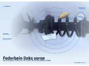 Federbein links vorne VW Transporter T5 Bus