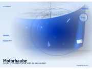 Motorhaube VW Polo IV (9N, 9A)