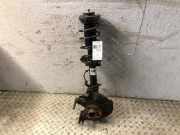Federbein links vorne VW Polo IV (9N, 9A) 300032