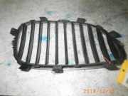 Kühlergrill BMW 5er (E60) 511370305480