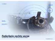 Federbein rechts vorne VW Golf V (1K)