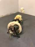 Kraftstoffpumpe DAEWOO Matiz (KLYA) 96320232