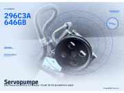 Servopumpe FIAT Punto Evo (199) 296C3A646GB