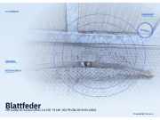 Blattfeder VW Caddy III Kasten (2KA)