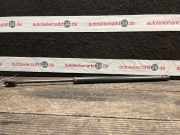 Heckklappendämpfer FORD Focus (DAW, DBW)