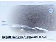 Türgriff links vorne SCHWARZ II 668 BMW 3er Touring (F31)