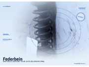 Federbein SEAT Ibiza II (6K)