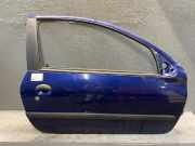 Tür rechts RENAULT Clio II (B)