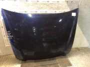 Motorhaube FIAT Stilo Multi Wagon (192)
