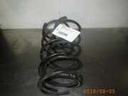 Federnpaket PEUGEOT 106 I