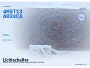 Lichtschalter FORD C-Max 4M5T13A024CA