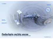 Federbein rechts vorne VW Transporter T5 Bus