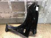Kotflügel links vorne FIAT Punto (199) 6000630350 0051701736