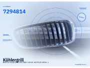 Kühlergrill BMW 4er Coupe (F32, F82) 7294814