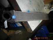 Ladeluftkühler MERCEDES-BENZ A-Klasse (W169) A1695000000