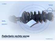 Federbein rechts vorne SEAT Ibiza II (6K)