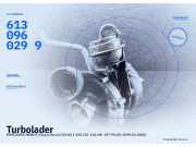 Turbolader MERCEDES-BENZ E-Klasse Kombi (S210) A6130960499 6130960299