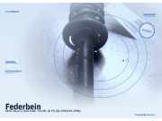 Federbein SEAT Ibiza II (6K)