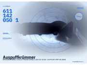 Auspuffkrümmer MERCEDES-BENZ C-Klasse T-Modell (S202) 6111420501