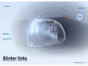 Blinker links FIAT Palio (178)