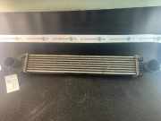 Ladeluftkühler MERCEDES-BENZ A-Klasse (W169) A1695000000