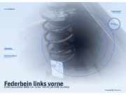 Federbein links vorne FORD Focus (DAW, DBW)