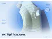 Kotflügel links vorne RENAULT Kangoo (KC)