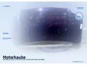 Motorhaube VW Sharan (7M)