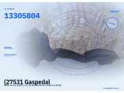 (27531 Gaspedal OPEL Corsa D (S07) 13305804) 13305804