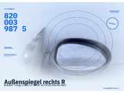 Außenspiegel rechts RENAULT Twingo I (C06) 8200039875