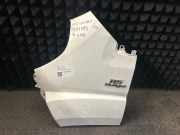 Kotflügel links vorne FIAT Ducato Kasten (250)