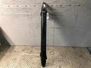 Stoßstangenträger hinten SEAT Leon (1M) 1J0807305