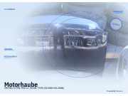 Motorhaube VW Polo IV (9N)