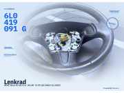 Lenkrad SEAT Ibiza III (6L) 6L0419091G