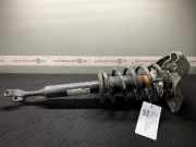 Federbein rechts vorne VW Passat B5.5 Variant (3B6) 557833
