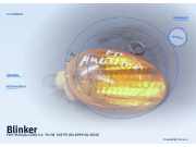 Blinker FIAT Multipla (186)