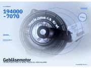 Gebläsemotor TOYOTA Celica (T20) 194000-7070