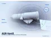 AGR-Ventil FIAT Barchetta (183)