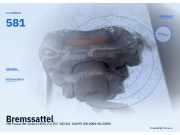 Bremssattel VW Passat B6 Variant (3C5) 581