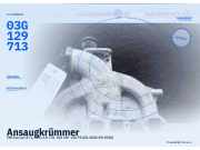 Ansaugkrümmer VW Touran (1T1, 1T2) 03G129713