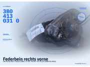 Federbein rechts vorne VW Passat Variant (3B6, B5) 3B04130310