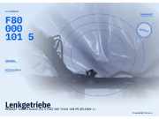 Lenkgetriebe RENAULT Trafic II Kasten (FL) F800001015