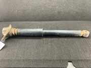 Stoßdämpfer hinten VW Passat B6 Variant (3C5)