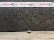 Schalter DACIA Lodgy (JS) 254292575R