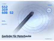 Gasfeder für Motorhaube BMW 3er (E36) 51231960852