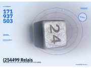 (254499 Relais VW Audi) 171937503) 171937503