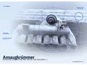 Ansaugkrümmer KIA Sorento I (JC)