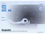Gaspedal VW Passat B6 Variant (3C5) 1K1721503AB