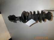 Federbein rechts vorne SEAT Ibiza II (6K)